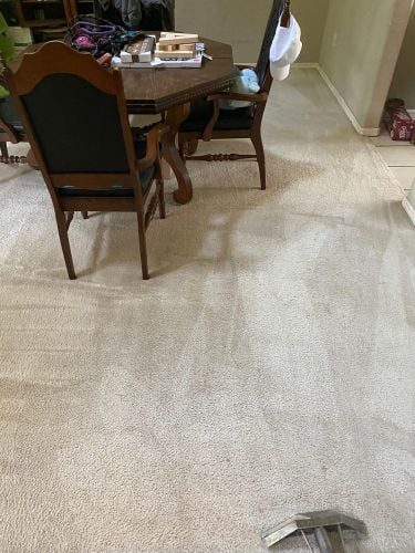 Carpet Cleaning Near Pryor, Ok (4)
