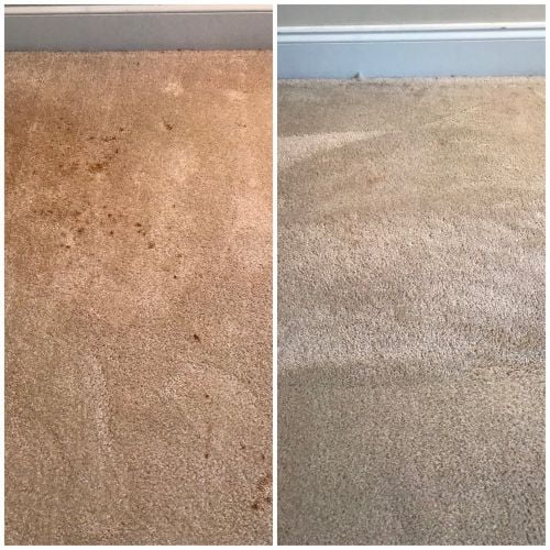 Carpet Cleaning Near Pryor, Ok (5)
